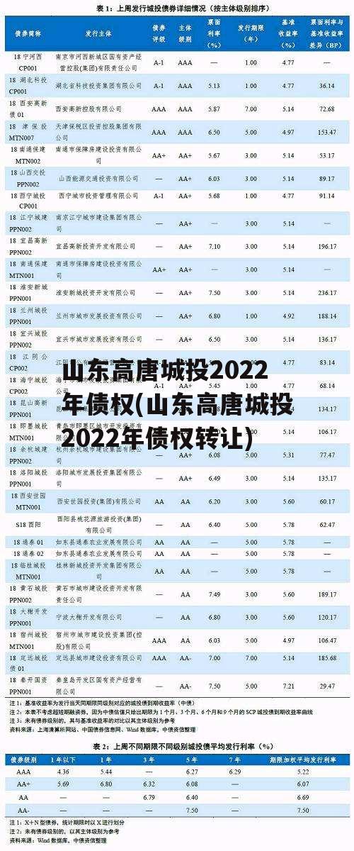 山东高唐城投2022年债权(山东高唐城投2022年债权转让)