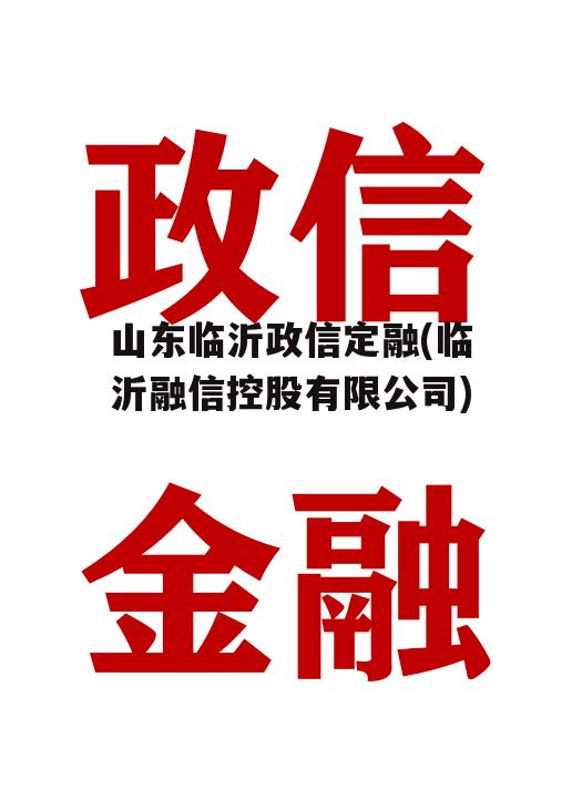 山东临沂政信定融(临沂融信控股有限公司)