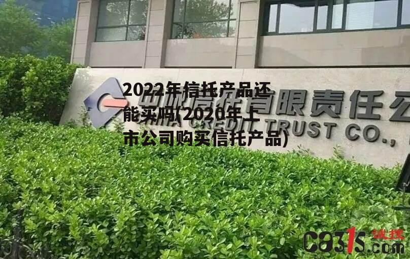 2022年信托产品还能买吗(2020年上市公司购买信托产品)