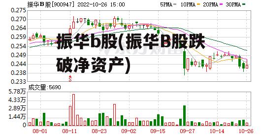 振华b股(振华B股跌破净资产)