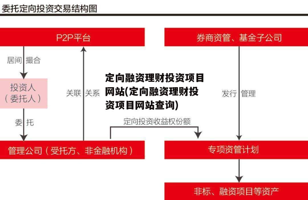 定向融资理财投资项目网站(定向融资理财投资项目网站查询)