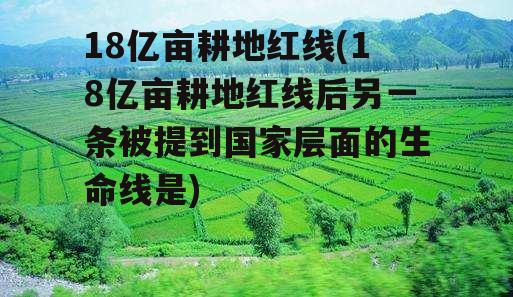 18亿亩耕地红线(18亿亩耕地红线后另一条被提到国家层面的生命线是)