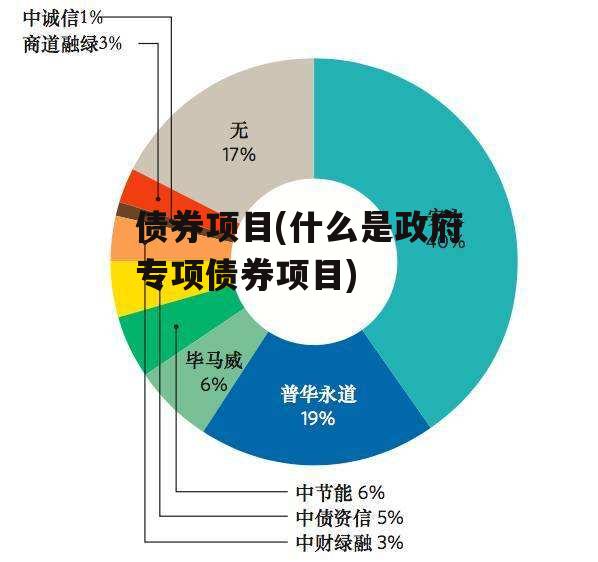 债券项目(什么是政府专项债券项目)