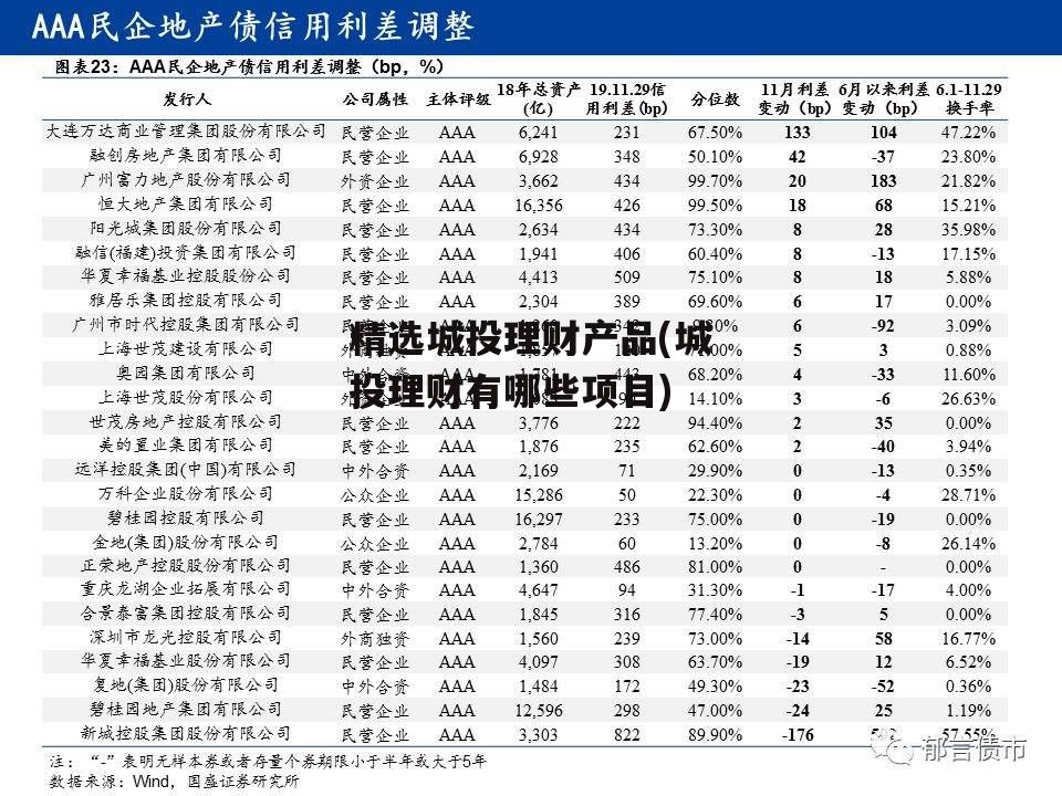 精选城投理财产品(城投理财有哪些项目)