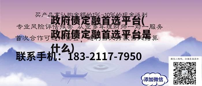 政府债定融首选平台(政府债定融首选平台是什么)