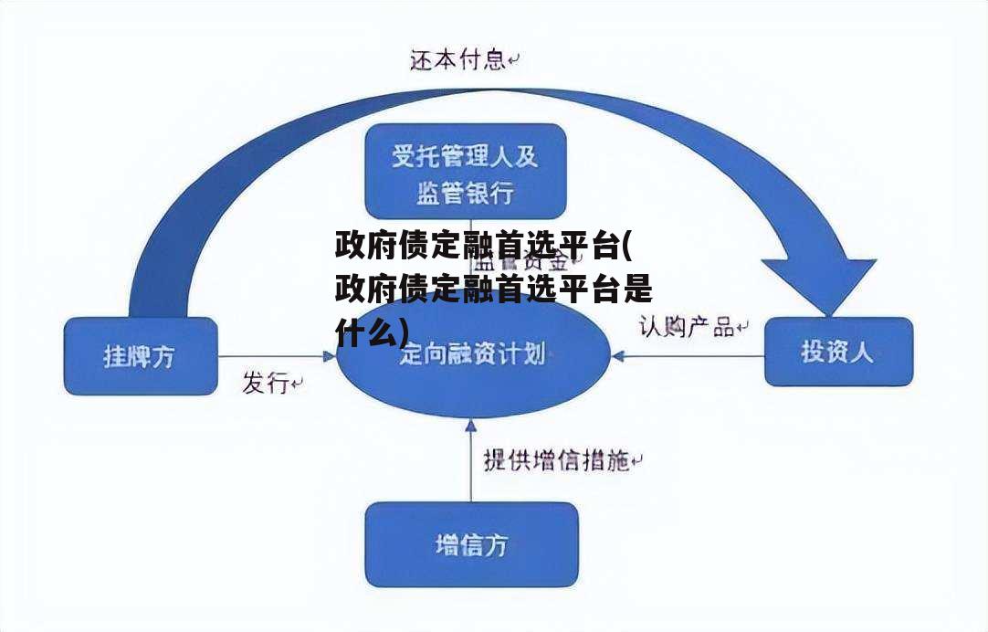 政府债定融首选平台(政府债定融首选平台是什么)