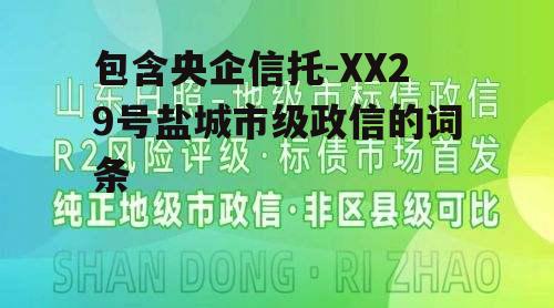 包含央企信托-XX29号盐城市级政信的词条