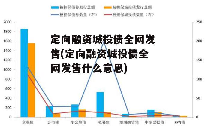 定向融资城投债全网发售(定向融资城投债全网发售什么意思)