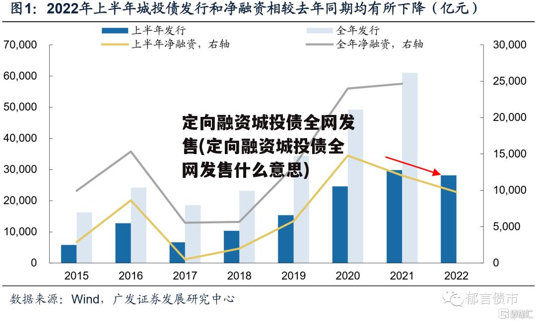 定向融资城投债全网发售(定向融资城投债全网发售什么意思)