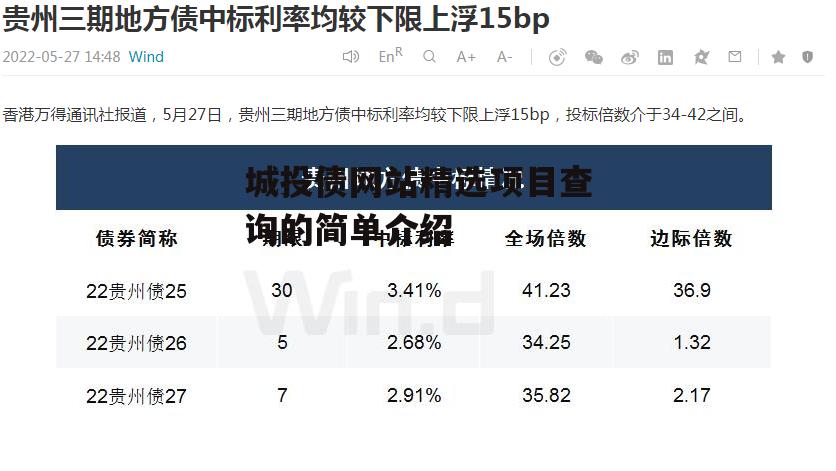 城投债网站精选项目查询的简单介绍