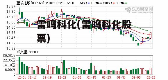 雷鸣科化(雷鸣科化股票)