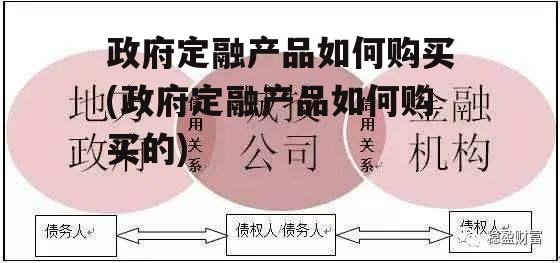 政府定融产品如何购买(政府定融产品如何购买的)