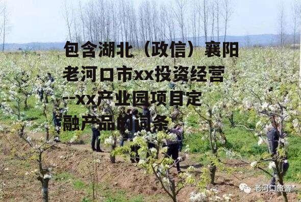 包含湖北（政信）襄阳老河口市xx投资经营--xx产业园项目定融产品的词条