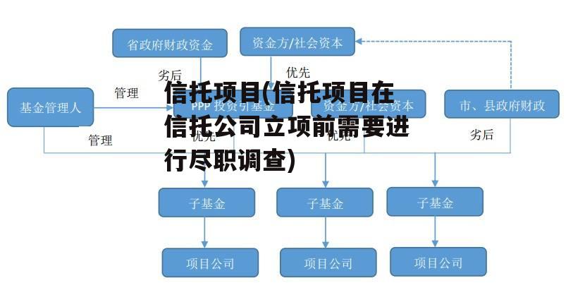 信托项目(信托项目在信托公司立项前需要进行尽职调查)