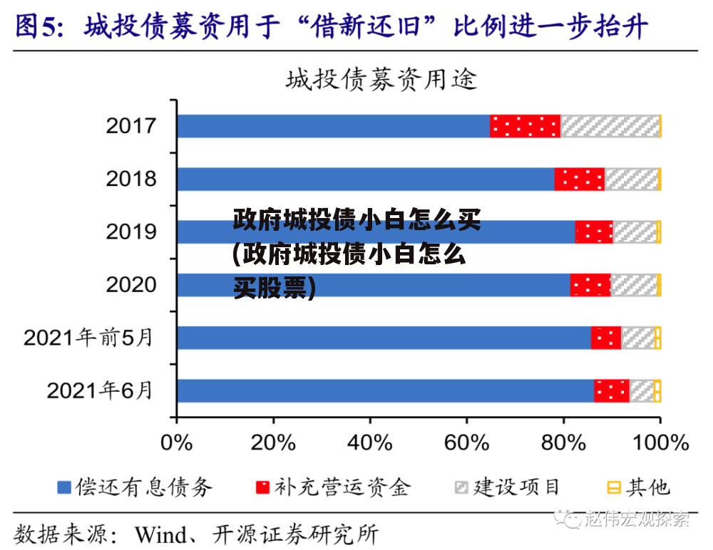 政府城投债小白怎么买(政府城投债小白怎么买股票)