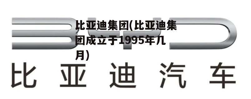 比亚迪集团(比亚迪集团成立于1995年几月)