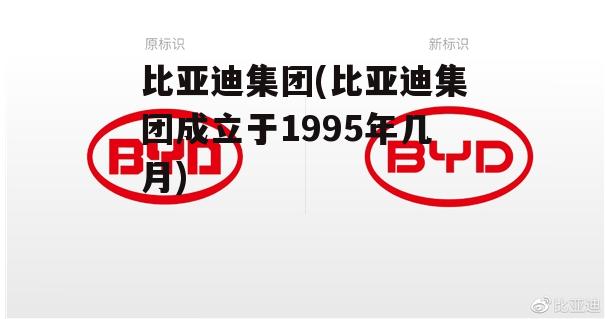 比亚迪集团(比亚迪集团成立于1995年几月)