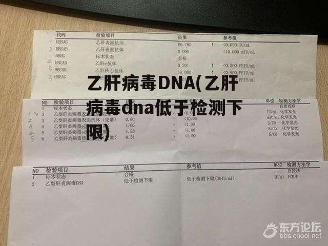 乙肝病毒DNA(乙肝病毒dna低于检测下限)