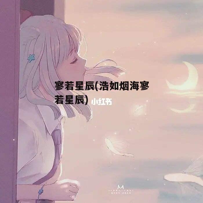 寥若星辰(浩如烟海寥若星辰)