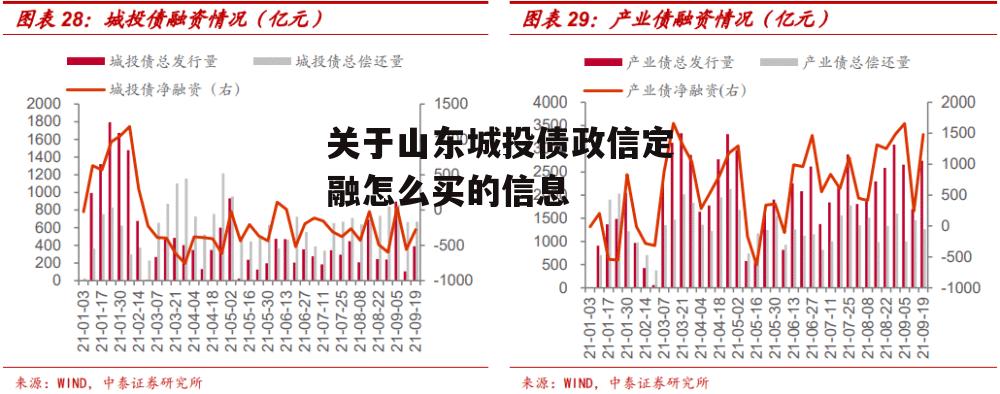 关于山东城投债政信定融怎么买的信息