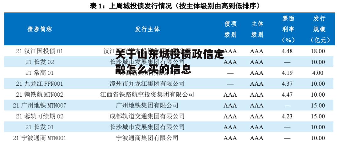 关于山东城投债政信定融怎么买的信息