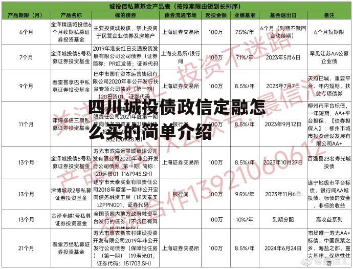 四川城投债政信定融怎么买的简单介绍