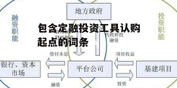 包含定融投资工具认购起点的词条