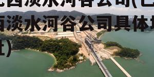 巴西淡水河谷公司(巴西淡水河谷公司具体地址)