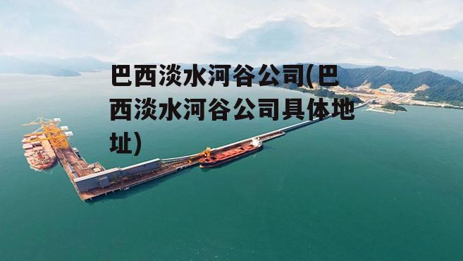 巴西淡水河谷公司(巴西淡水河谷公司具体地址)