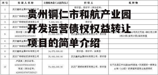 贵州铜仁市和航产业园开发运营债权权益转让项目的简单介绍