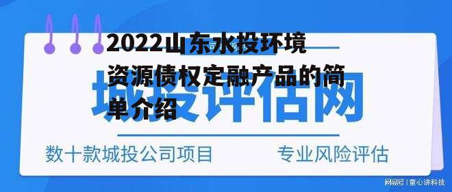 2022山东水投环境资源债权定融产品的简单介绍