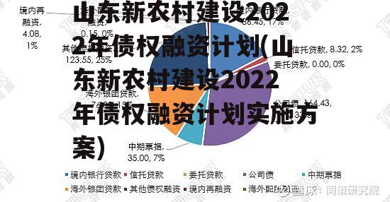 山东新农村建设2022年债权融资计划(山东新农村建设2022年债权融资计划实施方案)