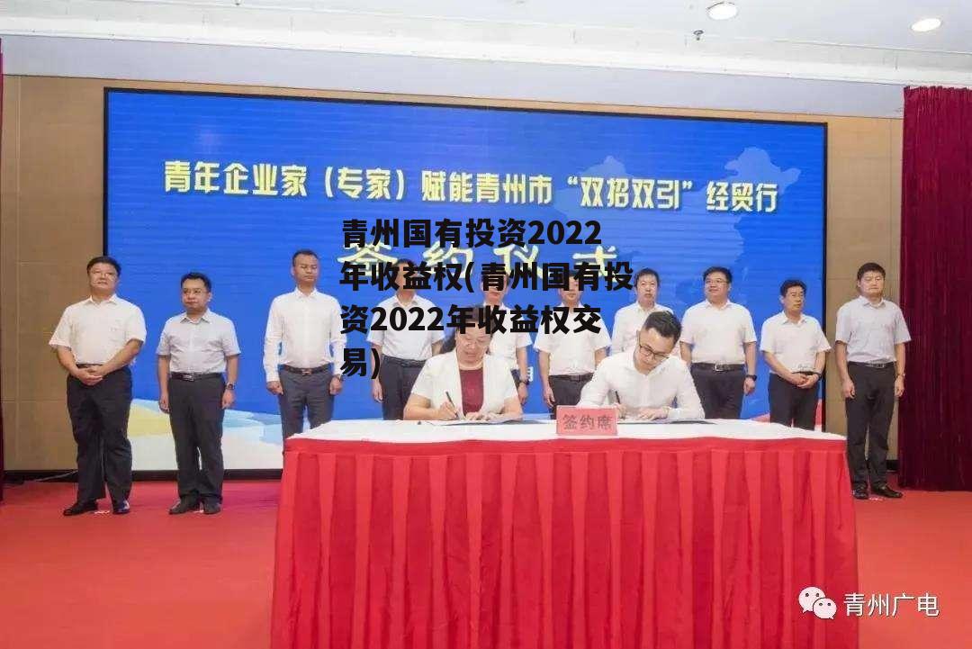 青州国有投资2022年收益权(青州国有投资2022年收益权交易)