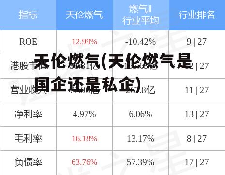 天伦燃气(天伦燃气是国企还是私企)