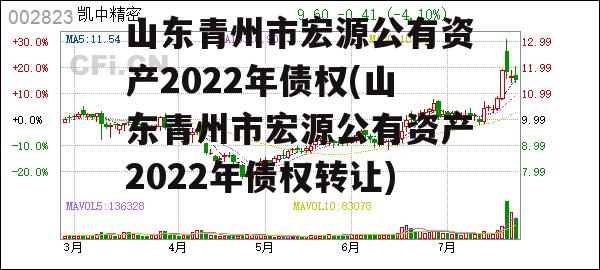 山东青州市宏源公有资产2022年债权(山东青州市宏源公有资产2022年债权转让)