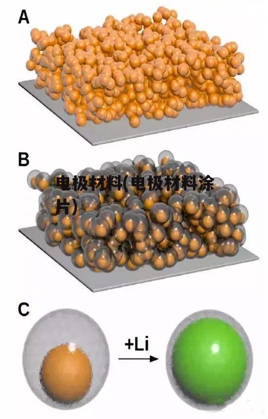电极材料(电极材料涂片)
