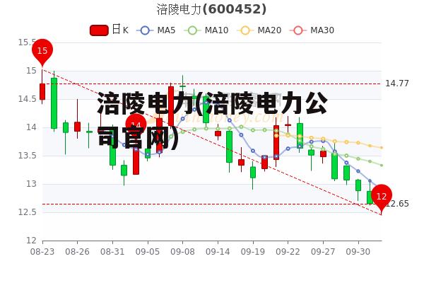 涪陵电力(涪陵电力公司官网)