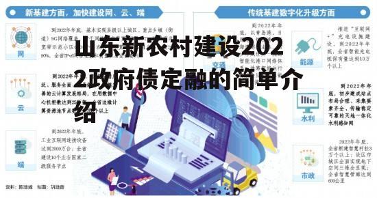 山东新农村建设2022政府债定融的简单介绍