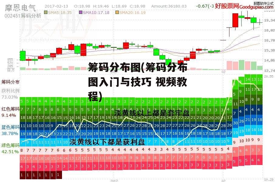 筹码分布图(筹码分布图入门与技巧 视频教程)