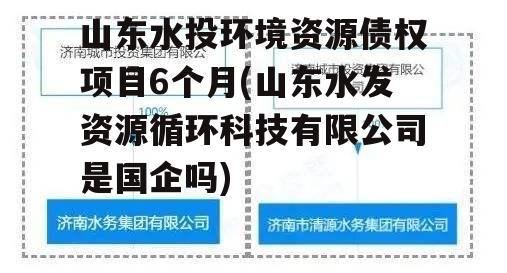 山东水投环境资源债权项目6个月(山东水发资源循环科技有限公司是国企吗)