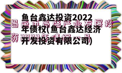 鱼台鑫达投资2022年债权(鱼台鑫达经济开发投资有限公司)