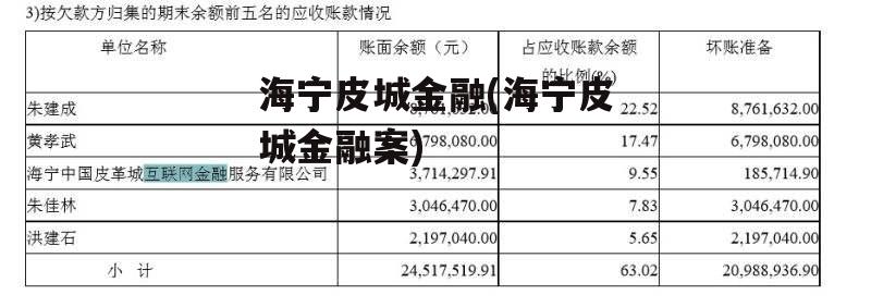 海宁皮城金融(海宁皮城金融案)