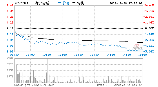 海宁皮城金融(海宁皮城金融案)