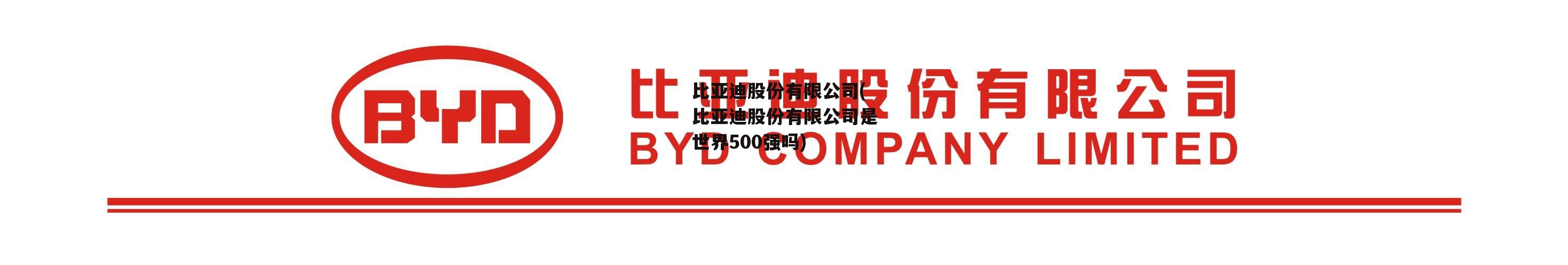 比亚迪股份有限公司(比亚迪股份有限公司是世界500强吗)