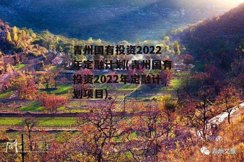 青州国有投资2022年定融计划(青州国有投资2022年定融计划项目)