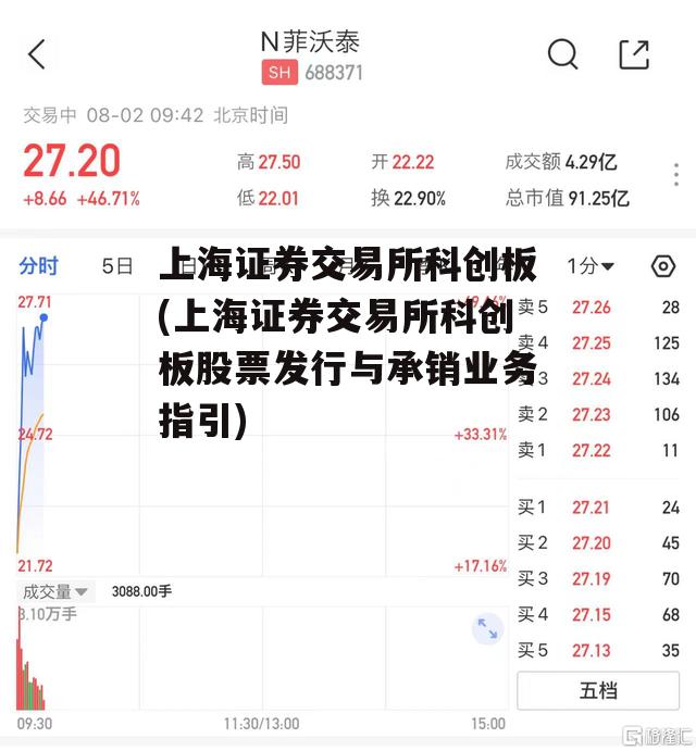 上海证券交易所科创板(上海证券交易所科创板股票发行与承销业务指引)