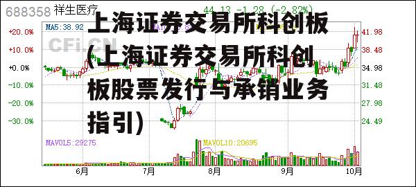 上海证券交易所科创板(上海证券交易所科创板股票发行与承销业务指引)