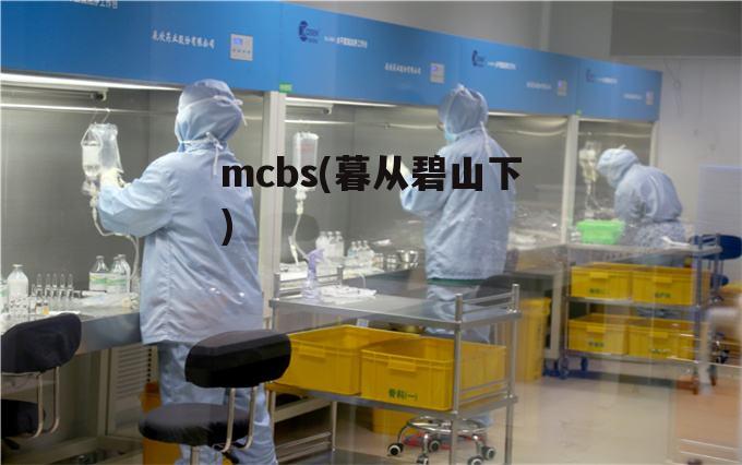 mcbs(暮从碧山下)