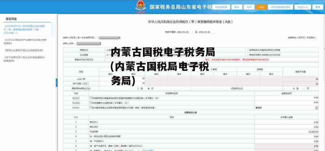 内蒙古国税电子税务局(内蒙古国税局电子税务局)