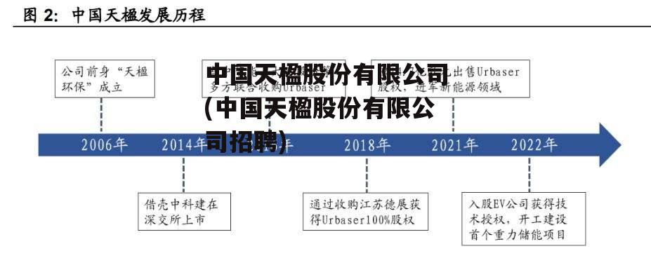 中国天楹股份有限公司(中国天楹股份有限公司招聘)